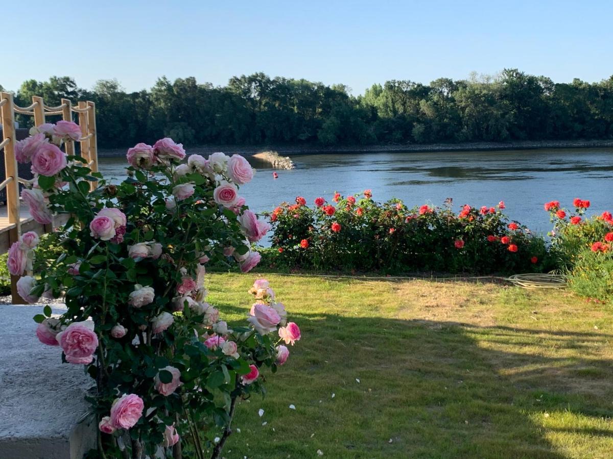 Maisons Au Bord De La Loire - Maison Paradis & Maison Bonheur Au 248 Riverside Le Fosse-Neuf Εξωτερικό φωτογραφία